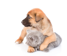 Obraz premium Mixed breed puppy hugging kitten and looking away. Isolated on white background