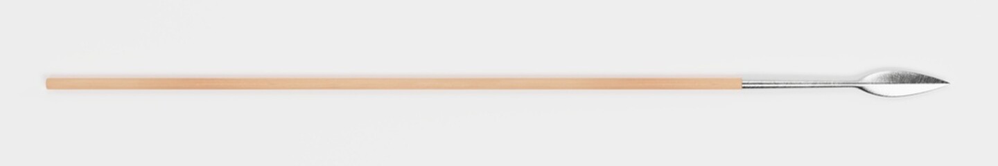 Realistic 3d Render of Viking Spear