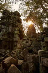 Ta Prohm historic site in Cambodia.