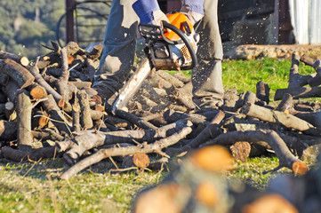 Close-up of woodcutter sawing chain saw in motion, sawdust fly to sides.