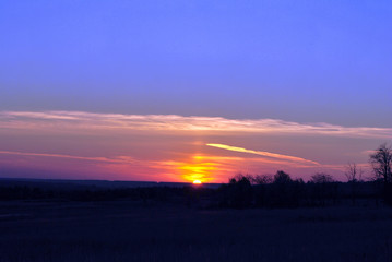 Beautiful sunset, purple-pink sky with golden sun, black trees silhouettes on horizon