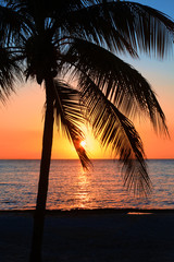 Fototapeta na wymiar Beautiful sunset on the beach, sun goes down to the sea. Palm on the bayshore. Calm ambient, rest and relaxation concept. Stunning view to the horizon. Outdoors, copy space.