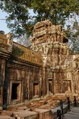 Fototapeta premium Ta Prohm historic site in Cambodia.