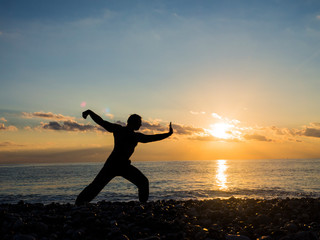 Fototapeta na wymiar Martial Artist with orange sunset. Silhouette of a man practice whushu. Healthy lifestyle.