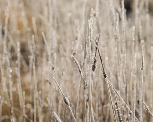 Obraz premium Orange life buoy at lake shore in winter.
