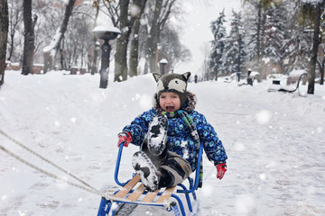 Fototapeta na wymiar Kid on the sledge in the winter park