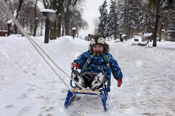 Kid on the sledge in the winter park