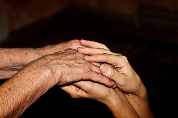 Fototapeta premium The hand of an old grandmother in the hand of a young granddaughter