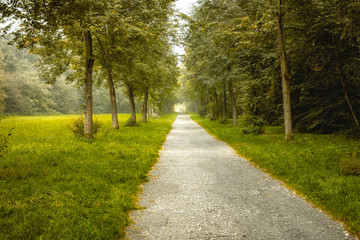 Waldweg