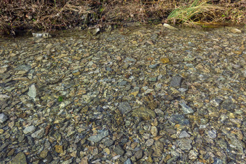 stones at the bottom of a mountain river