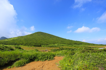 Fototapeta premium 小山