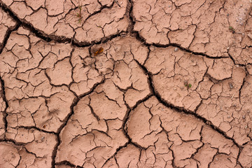 Dry land soil earth surface texture detail close up