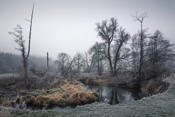 Landscape with Jeziorka river on a frosty morning