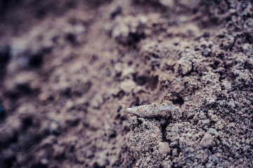 Closeup View of the Shot Bullet with Ballistic Marks in Sands