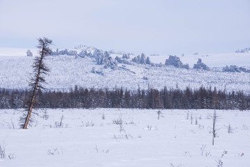 Ostantsy - an isolated array of rock, remaining after the destruction of the unstable part: the...