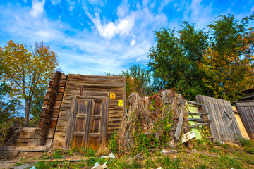 An old dilapidated ruined house with trees inside, there was only a wooden door and brown fence...