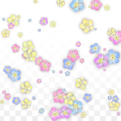 Vector Realistic Colorful Flowers Falling on Transparent Background.  Spring Romantic Flowers Illustration. Flying Petals. Sakura Spa Design. Blossom Confetti. Design Elements for Wedding Decoration.