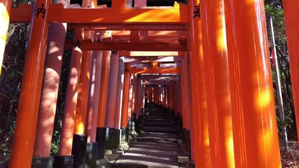 Fushimi Inari