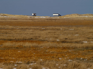 Obraz premium Dünen und Pfahlbauten am Nordseestrand in Sankt Peter-Ording