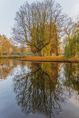 Amsterdam, Netherlands - main city and capital of the country, Amsterdam offers some quiet and peaceful spots, like the famous Oosterpark