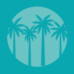 palm tree silhouette