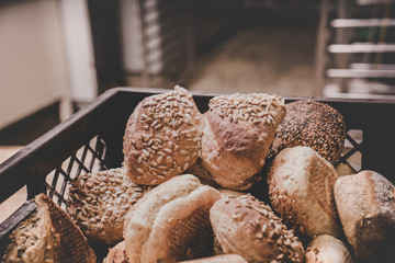 Frische Mehrkornbrötchen in Backstube zum Abtransport