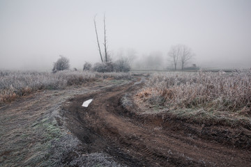 Road through the field on a foggy and frosty morning