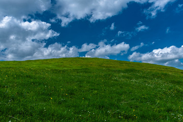 Fototapeta premium Blick über eine Wiese mit Alpenblumen auf den Himmel