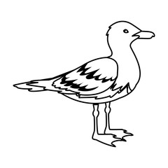 seagull isolated icon