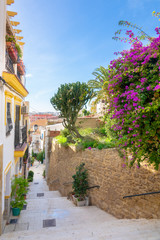 Street and stairway with beautiful houses and flower in the old city of Alicante on a sunny day