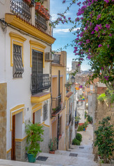 Street and stairway with beautiful houses and flower in the old city of Alicante on a sunny day