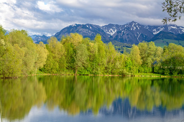 Fototapeta na wymiar Allgäu - See - Wasser - Spiegelung - Bäume - Sommer