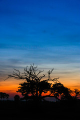 Natural scenery, sunset, evening,Environment and nature,sky