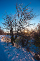 Fototapeta na wymiar Winter sunny morning landscape with a country road