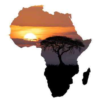 Africa wildlife and wilderness concept