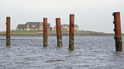 Tagesausflug auf die Hallig Langeneß