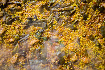 Spanish Paella Preparation Ingredients