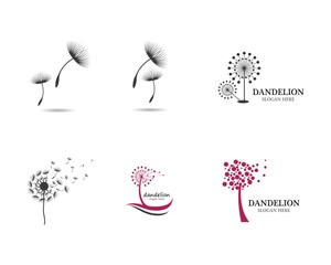 Dandelion vector illustration design