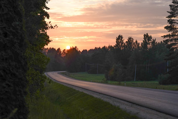 Sunset, forest road, sunset sky