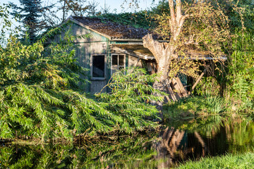 Fototapete bei efototapeten.de bestellen   