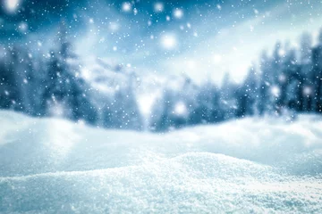 Fototapeten Schnee auf dem Hintergrund des Waldes am Weihnachtsabend mit Platz für ein Werbeprodukt © magdal3na