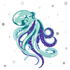Octopus illustration  isolated on white backgroud. Vector