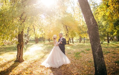 Bride and Groom at wedding Day walking Outdoors on autumn nature. Bridal couple, Happy Newlywed woman and man embracing in autumn park. Loving wedding couple outdoor. 