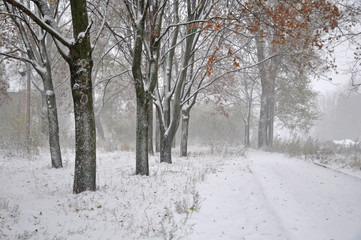 First snow