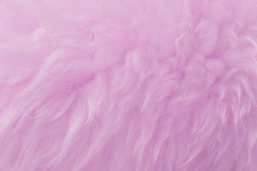 Pink animal wool texture background. Rosy tint natural wool. Close-up texture of  plush fluffy fur