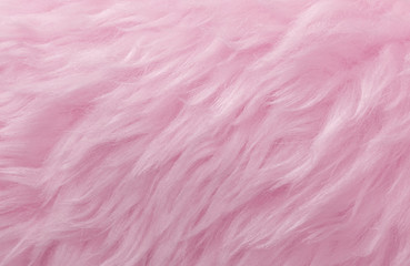 Pink animal wool texture background. Rosy tint natural wool. Close-up texture of  plush fluffy fur