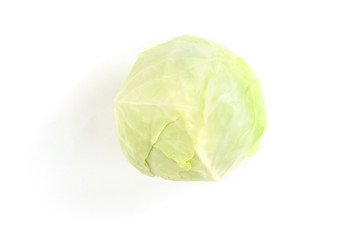 Fototapeta premium Cabbage isolated on white background.