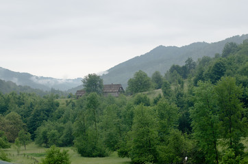Fototapeta premium Karpaten, Westukraine