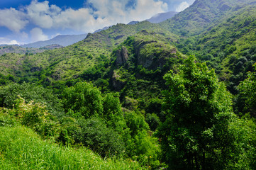 Forest landscape, Armenia