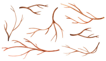 Set of watercolor tree branches